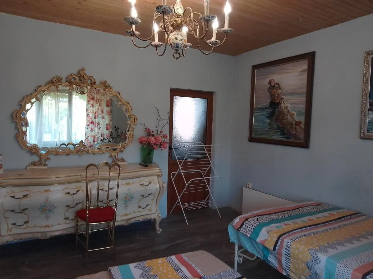 Guest House Amazonia Warna