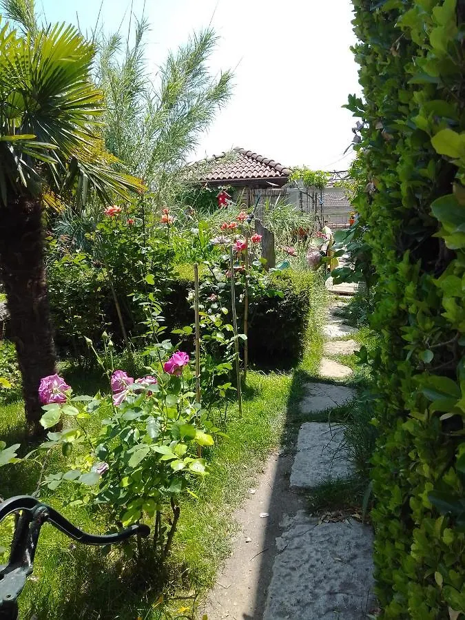 Guest House Amazonka Varna Bulgaria