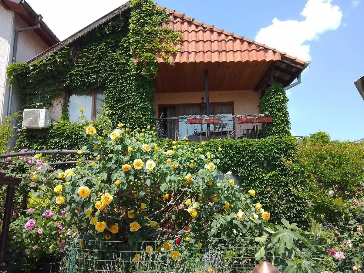 Guest House Amazonka Varna 0*,